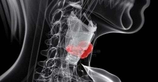 İstanbul Konuşma Terapisti