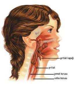 İstanbul Konuşma Terapisti