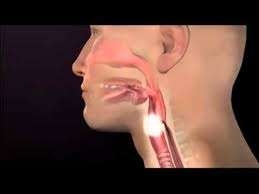 İstanbul Konuşma Terapisti