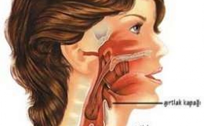 Ses Bozuklukları Hakkındaki Sorular